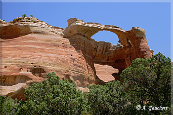 Akiti Arch
